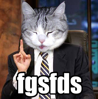 fgsfds_cat.jpg